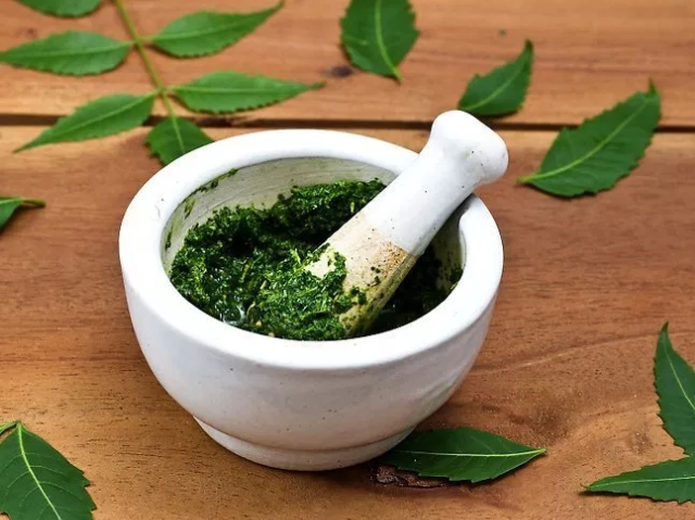 How to Make Fresh Neem Paste For Facial Mask