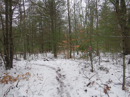 trail making a left turn