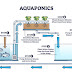 How to build an indoor Aquaponics system