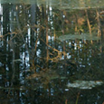 Vis album