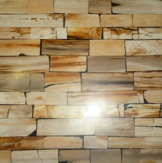 laminated petrified wood