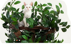 Spoil your cat with a realistic cat tree with leaves.