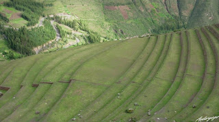 O en gama de verdes con efectos de convexo versus cóncavo: color de terrazas de fortaleza de Písac, en el Valle Sagrado; visión de ojo egipcio, muestra de la arquitectura y el diseño Inca