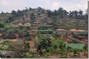 Vietnam Dalat 140313_0090