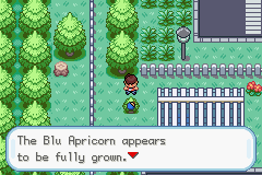 pokemon kairos screenshot 2