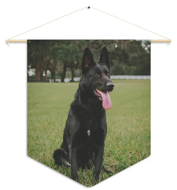 Pennant With Czech Republic DDR Gorgeous Black and Tan Female German Shepherd Sloppy Sitting Large Ears Leaving Tongue Out