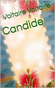 Candide (English Edition)