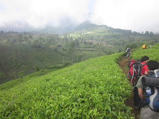 Informasi Jalur Pendakian Gunung Cikuray Yang Pas Untuk Anda