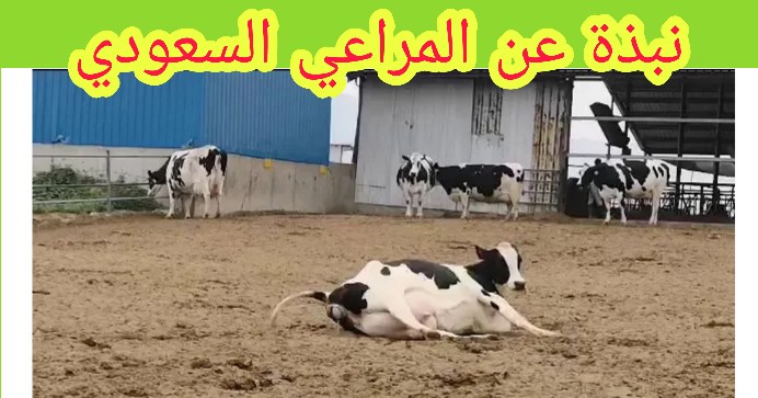 شركة المراعي