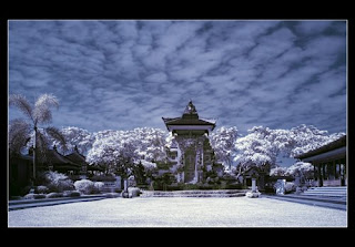 9 Step by Step Infrared Photography untuk Pemula