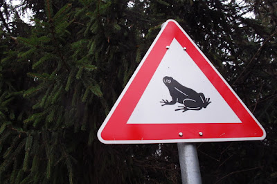 funny signs, toad, frog, 