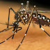 Vacina da Dengue ja esta disponivel no Brasil na rede particular