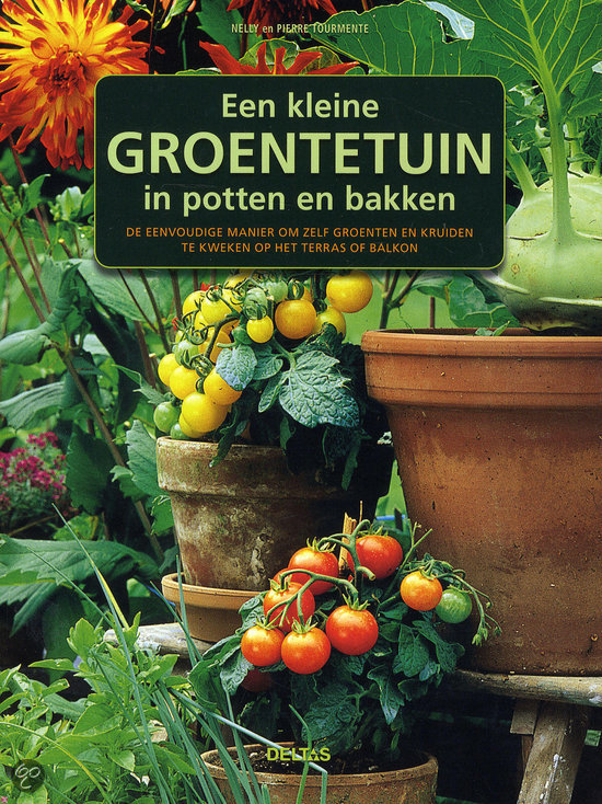 Een kleine groentetuin in potten en bakken