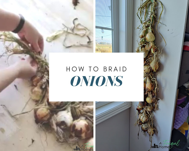 Store onions easily with this onion braid tutorial.