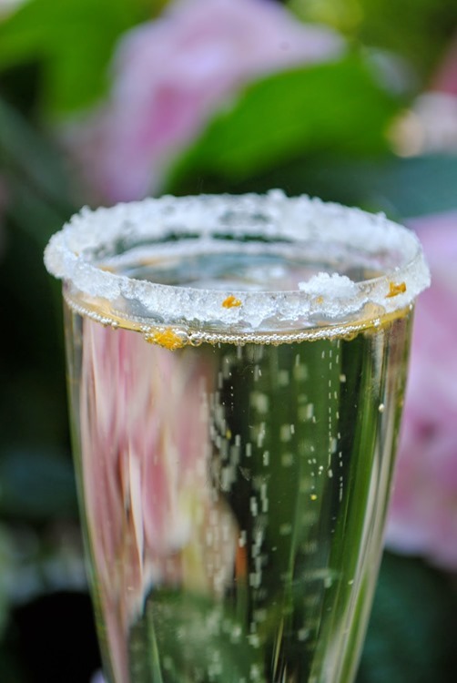sugar champagne