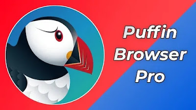Puffin Browser Pro (PAID) Apk For Android