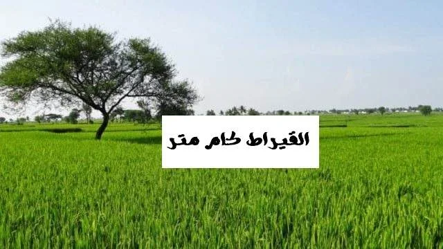 القيراط كام متر