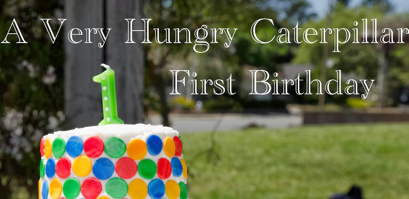 A Very Hungry Caterpillar Inspired First Birthday