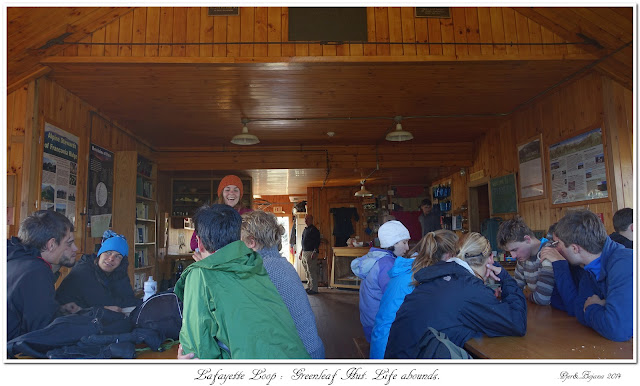 Lafayette Loop: Greenleaf Hut. Life abounds.