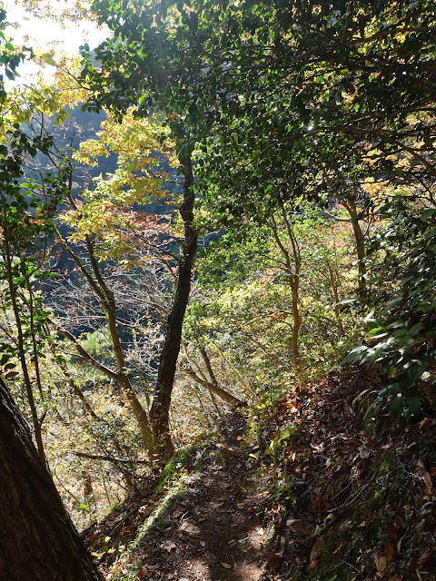 船上山の鱒返しの滝　降ります