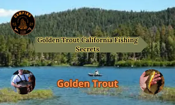 Golden Trout California Fishing Secrets