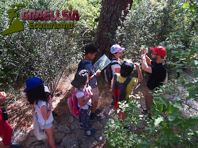 Campamento de Verano en la Naturaleza