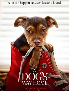 مشاهدة فيلم A Dog's Way Home 2019 BluRay مترجم مباشرة اون لاين مترجم