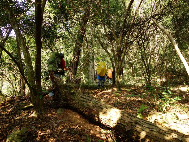 2014_0101-0105 萬山神石、萬山岩雕順訪萬頭蘭山_0138