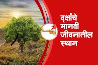 वृक्षांचे मानवी जीवनातील स्थान मराठी निंबध | vrukshanche manvi jivnatil sthan