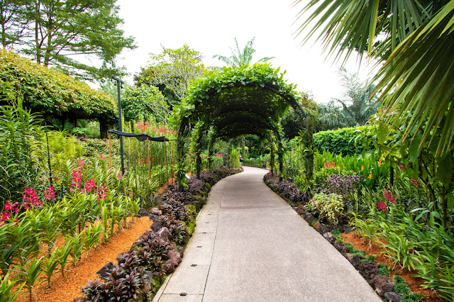 National Orchid garden-Botanic gardens-Singapore