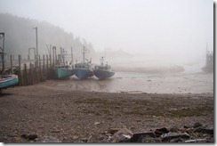 2012-06-11 DSC04733 low tide