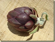 first artichoke to eat_1_1_1