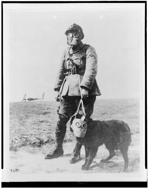 world war 1 trenches rats. of World War One, trench