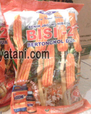 Bisi 2