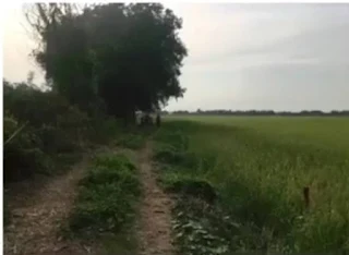 ที่ดิน นครนายก มุมมองที่ 5 แสดงการเข้าถึงจากถนน