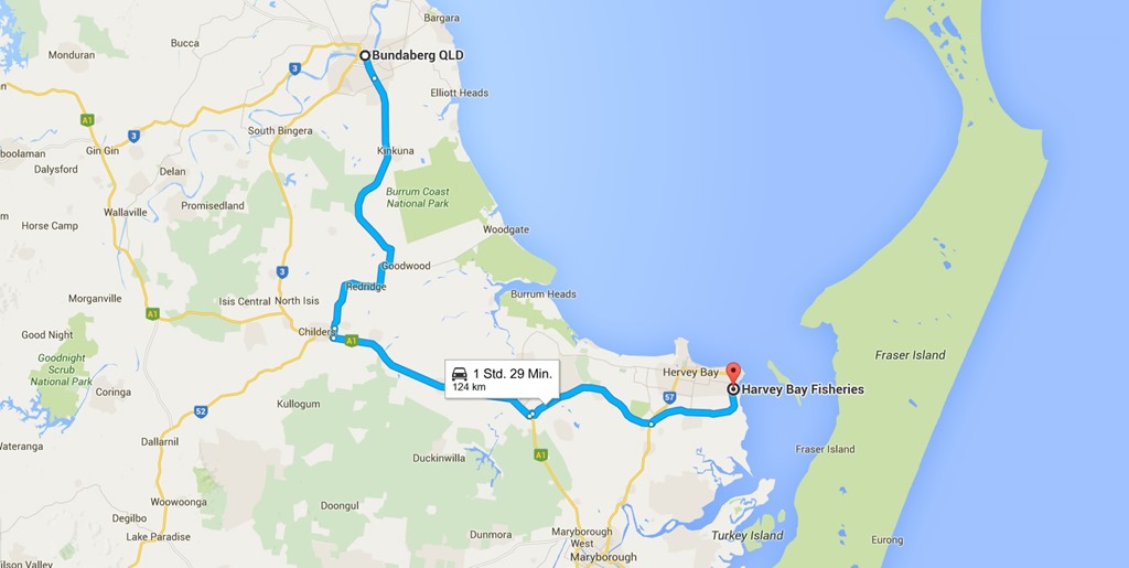 z46 von Bundaberg nach Harvey Bay