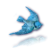 blog bird