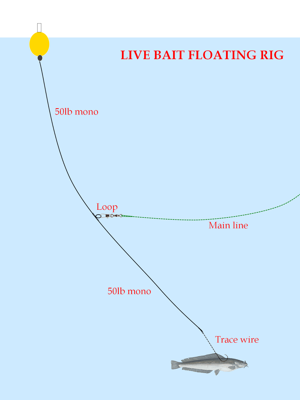 The Fish Hut: Live Bait Fishing