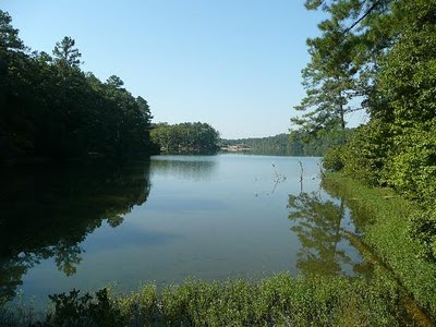 Alabama Lake View