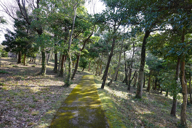 鳥取県西伯郡大山町妻木 むきばんだ史跡公園 弥生の森の遊歩道