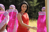 Trisha Romantic Stills Photo on Body Guard Movie