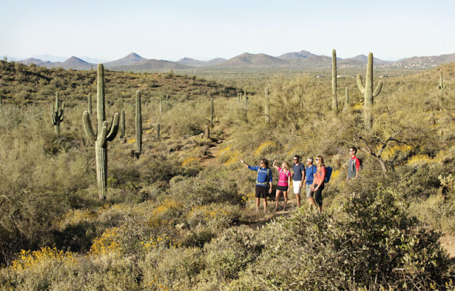 Scottsdale: Half Day Trekking Tour