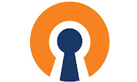 Download Open VPN Connect