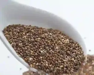 chia seed information in marathi