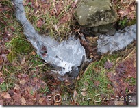 iced brook