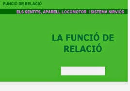 http://www.chiscos.net/repolim/lim/funcio__de_relacio_1/funcio__de_relacio_.html