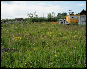 Arrrghh - 'growourown.blogspot.com' ~ an allotment blog