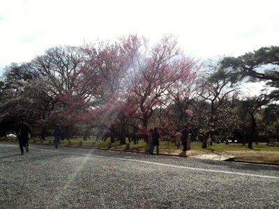 京都御所