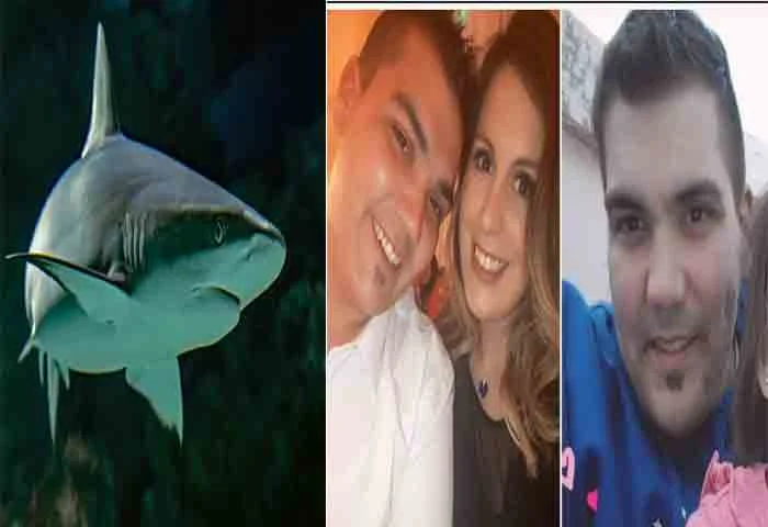 News,World,international,Missing,Youth,died,Dead Body,Local-News,Police, Missing Argentine Man Found In Shark's Stomach, Family Identifies Him By His Tattoo
