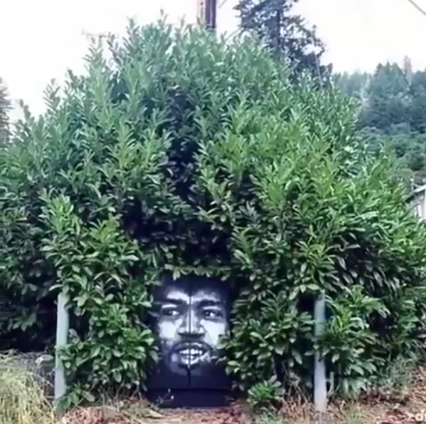 Mural de rostro en la pared. Arte callejero con plantas